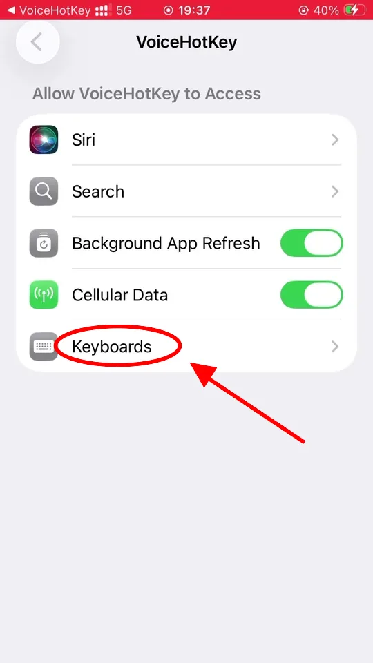 iOS Settings VoiceHotKey рұқсат экранын көрсетіп тұр
